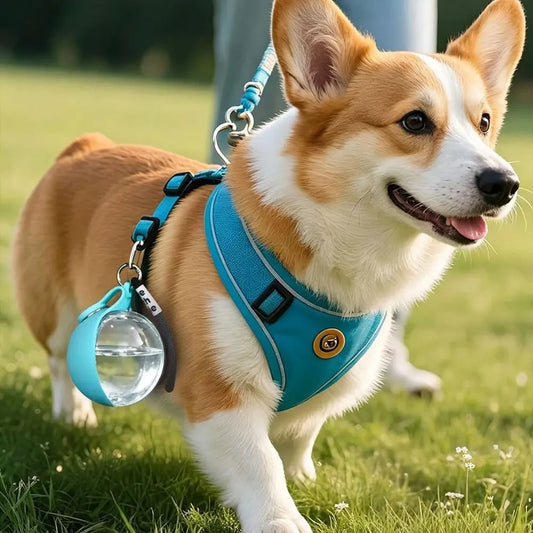 Portable Leak-Proof Pet Hydration System