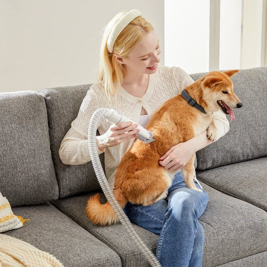 2 in 1 Pet Hair Furniture Vacuum and Professional Pet Grooming Kit