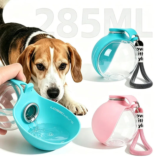 Portable Leak-Proof Pet Hydration System